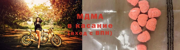 молекула духа Арсеньев