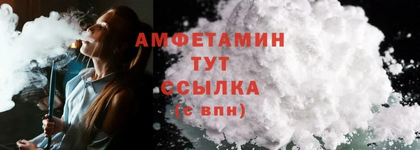 молекула духа Арсеньев