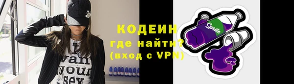 молекула духа Арсеньев