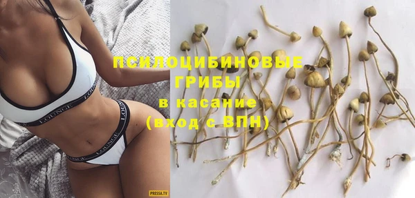 дурь Аркадак